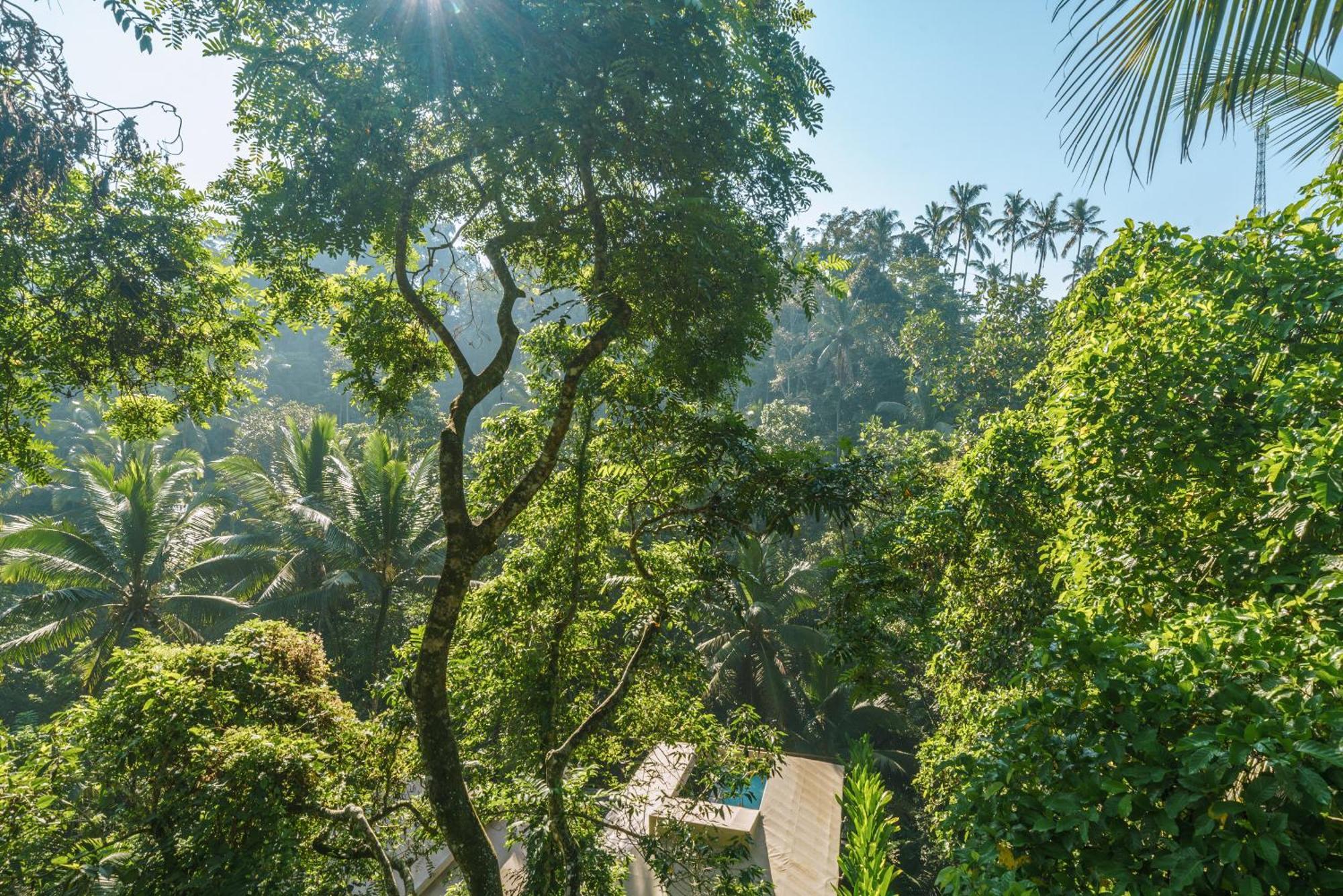K Club Ubud Room photo